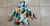 86KURTKA ONEILL 1213 DALTON PBKES YELLOW 98 ..jpg