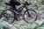 bbn-7097807_d.jpg