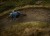 coyote_matte-grey_6.jpg