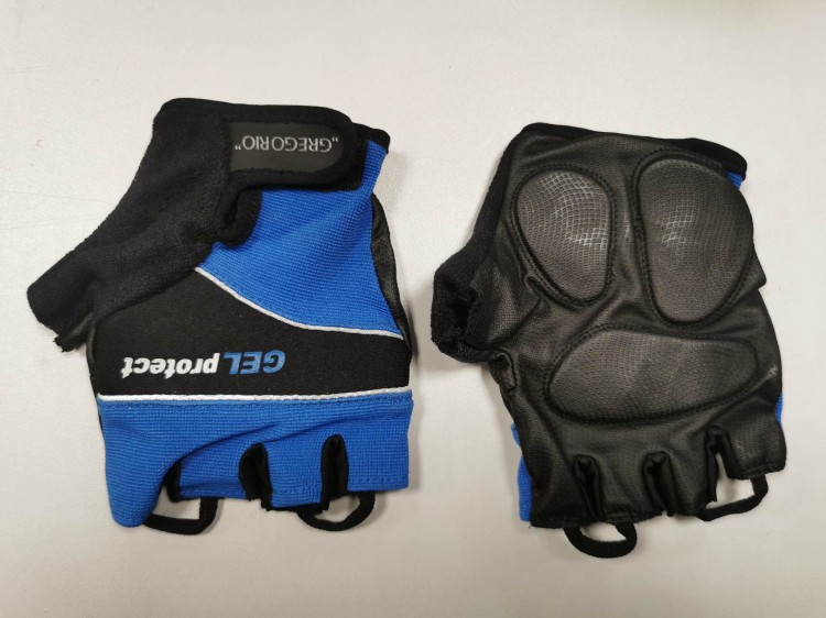 GREGORIO NIEBIESKIE.jpg