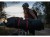 bbn-7064519_g.jpg