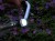 bbn-7064519_k.jpg
