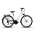 rower-trekkingowy-storm-marathon-lady-60-perla.JPEG