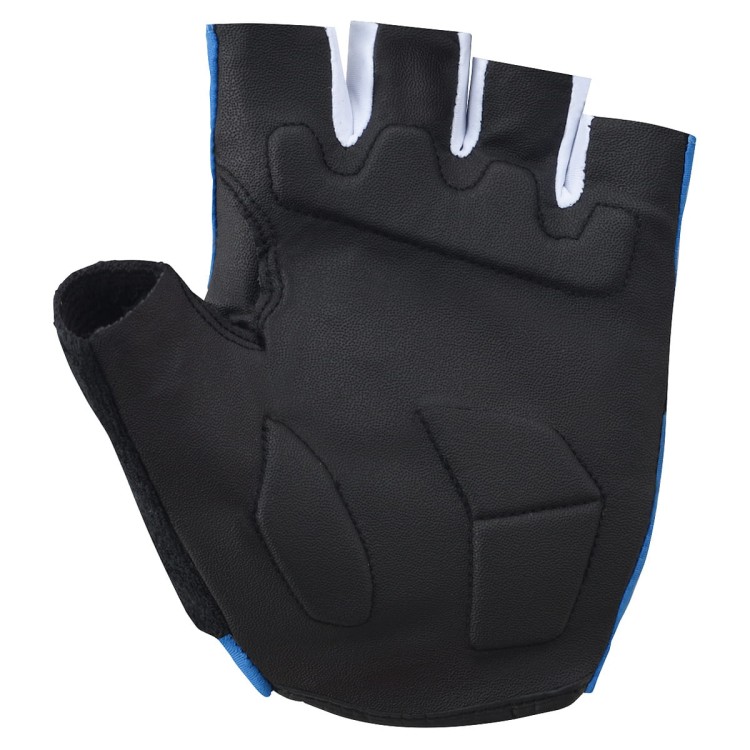 Rękawiczki Shimano Value Gloves blue back.jpg